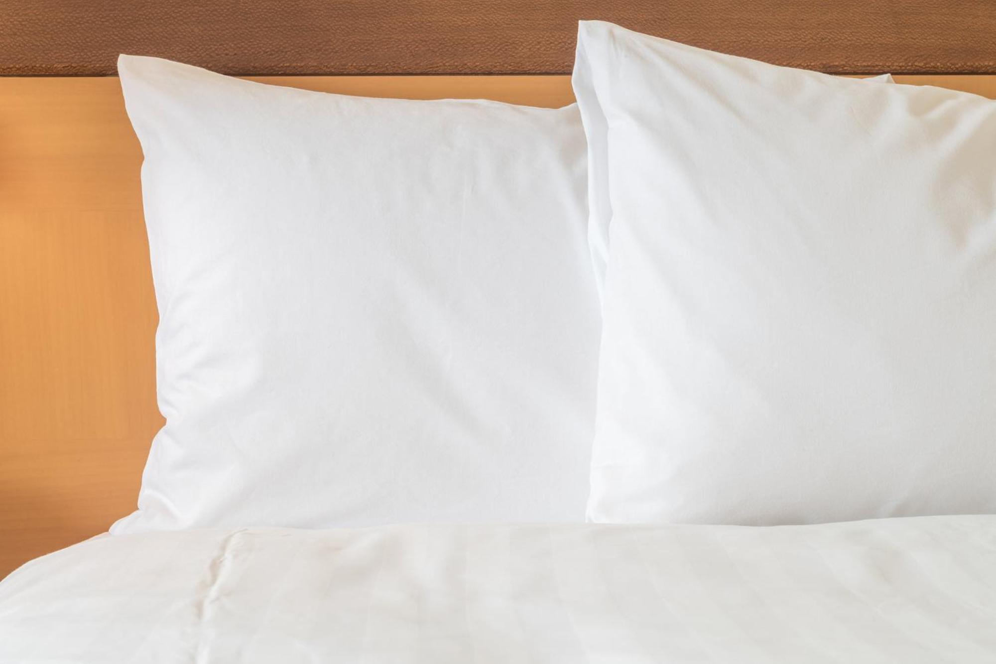 Holiday Inn Express Holly Springs - Raleigh Area By Ihg エクステリア 写真